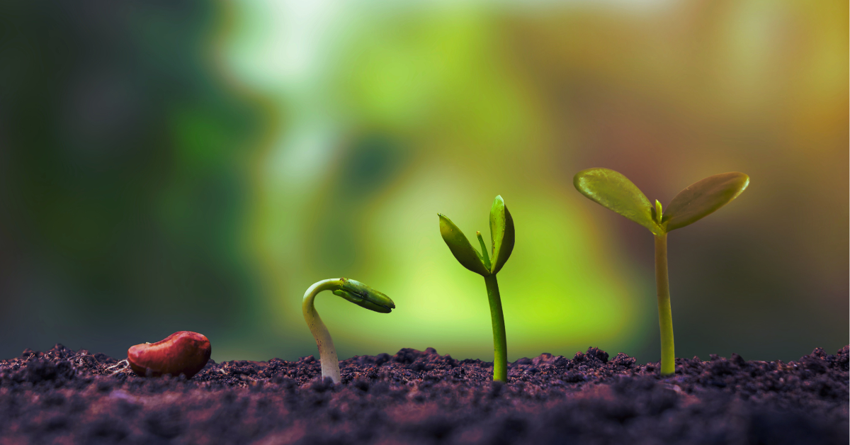 8 Steps to Develop a Growth Mindset to Smash Goals