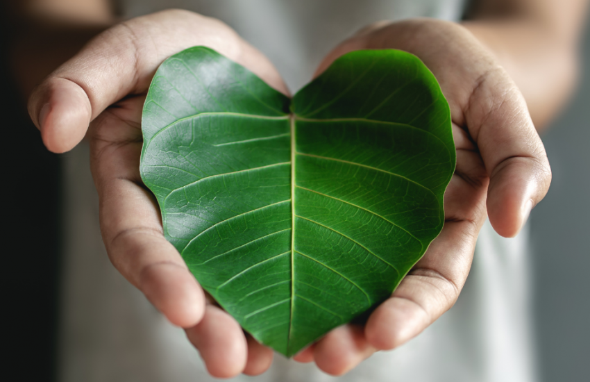 self love gifts for valentines day 2024